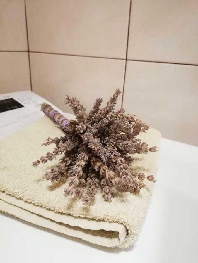 Apartman Jela Šibenik Buitenkant foto